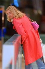 ELSA HOSK Out Shopping in New York 12/15/2018