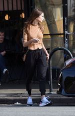 EMILY RATAJKOWSKI Out and About in Los Angeles 12/18/2018