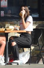 EMILY RATAJKOWSKI Out for Lunch in Los Angeles 12/20/2018