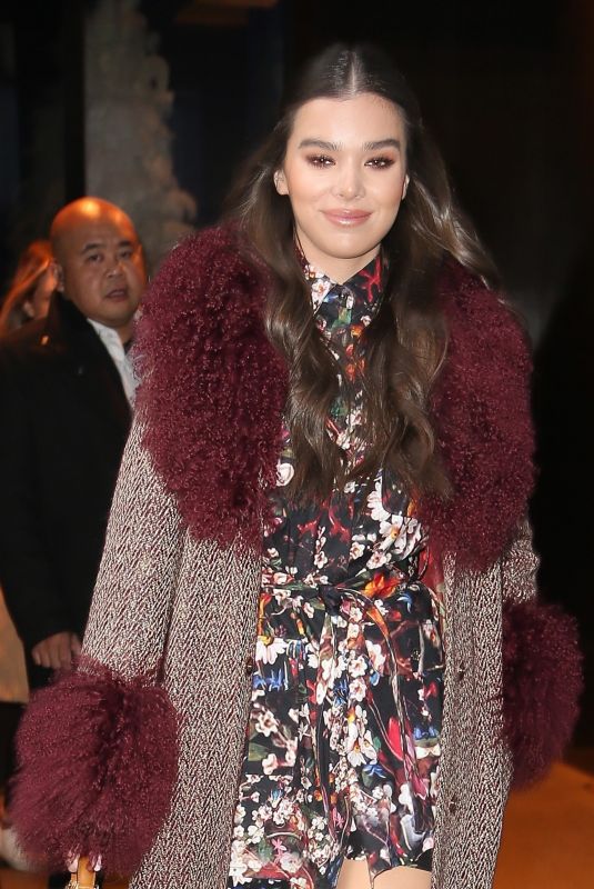 HAILEE STEINFELD Leaves Her Hotel in New York 12/20/2018
