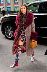 HAILEE STEINFELD Out and About in New York 12/20/2018