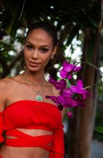 JOAN SMALLS at Tropic of C Reception in Miami 12/08/2018