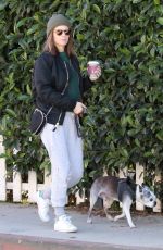 KATE MARA and Jamie Bell Out with Their Dogs in Los Angeles 12/15/2018