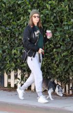 KATE MARA and Jamie Bell Out with Their Dogs in Los Angeles 12/15/2018