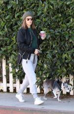KATE MARA and Jamie Bell Out with Their Dogs in Los Angeles 12/15/2018