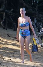 KATY PERRY in Swimsuit at a Beach in Hawaii 12/27/2018