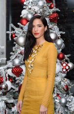 KELSEY CHOW at Winter Wonderland Ball at Botanical Garden in New York 12/14/2018