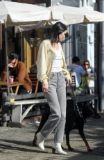 KENDALL JENNER Out with Her Dog in Los Angeles 12/16/2018