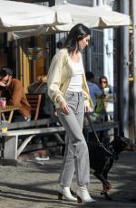 KENDALL JENNER Out with Her Dog in Los Angeles 12/16/2018