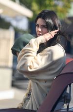 KENDALL JENNER Out with Her Dog in Los Angeles 12/16/2018