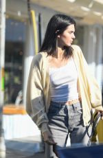 KENDALL JENNER Out with Her Dog in Los Angeles 12/16/2018