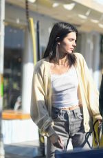 KENDALL JENNER Out with Her Dog in Los Angeles 12/16/2018