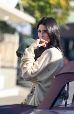 KENDALL JENNER Out with Her Dog in Los Angeles 12/16/2018