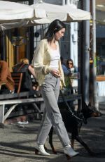 KENDALL JENNER Out with Her Dog in Los Angeles 12/16/2018