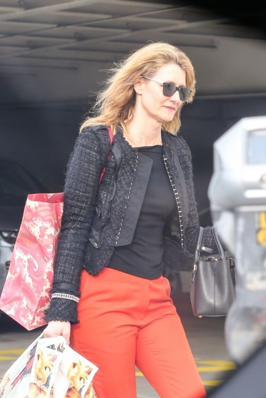 LAURA DERN Out Shopping in Los Angeles 12/23/2018