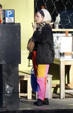 LILY ALLEN Out Shopping in Notting Hill 12/17/2018