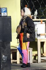 LILY ALLEN Out Shopping in Notting Hill 12/17/2018