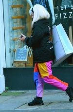 LILY ALLEN Out Shopping in Notting Hill 12/17/2018