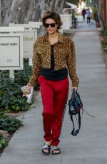 LISA RINNA Out and About in Los Angeles 12/21/018