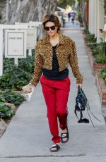LISA RINNA Out and About in Los Angeles 12/21/018