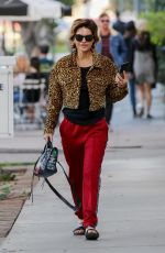 LISA RINNA Out and About in Los Angeles 12/21/018