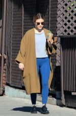 LUCY HALE Out with Her Dog in Los Angeles 12/11/2018