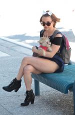 MARIA JADE Out with Her Dog in Miami 12/08/2018
