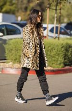 MEGAN FOX Out Shopping in Los Angeles 12/02/2018