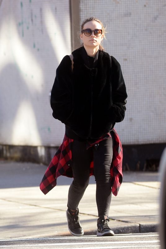 OLIVIA WILDE Out and About in New York 12/29/2018