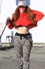 PHOEBE PRICE Out with Her Dog in Hollywood 12/27/2018