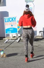 PHOEBE PRICE Out with Her Dog in Hollywood 12/27/2018