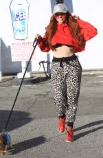 PHOEBE PRICE Out with Her Dog in Hollywood 12/27/2018