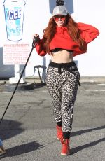PHOEBE PRICE Out with Her Dog in Hollywood 12/27/2018