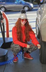 PHOEBE PRICE Out with Her Dog in Hollywood 12/27/2018