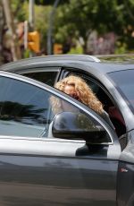 SHAKIRA in Denim Shorts Out in Barcelona 12/17/2018