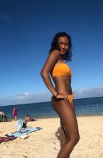 SYDNEY PARK in BIkini at a Beach in Hawaii - Instagram Pictures 12/28/2018