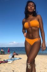 SYDNEY PARK in BIkini at a Beach in Hawaii - Instagram Pictures 12/28/2018