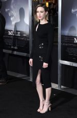 TAISSA FARMIGA at The Mule Premiere in Westwood 12/10/2018