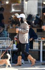 VANESSA HDUGENS Out with her Dog in Los Angeles 12/27/2018