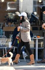 VANESSA HDUGENS Out with her Dog in Los Angeles 12/27/2018