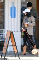 VANESSA HDUGENS Out with her Dog in Los Angeles 12/27/2018