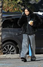 VANESSA HUDGENS Out and About in Los Feliz 12/30/2018