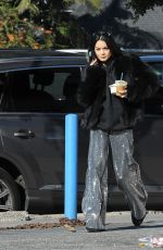 VANESSA HUDGENS Out and About in Los Feliz 12/30/2018