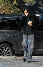 VANESSA HUDGENS Out and About in Los Feliz 12/30/2018