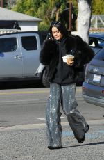 VANESSA HUDGENS Out and About in Los Feliz 12/30/2018