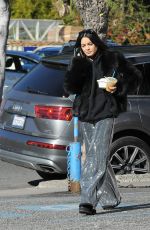 VANESSA HUDGENS Out and About in Los Feliz 12/30/2018