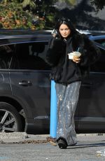 VANESSA HUDGENS Out and About in Los Feliz 12/30/2018