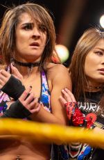 WWE - NXT Digitals 12/05/2018