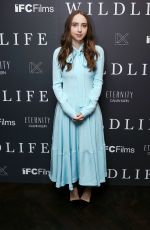 ZOE KAZAN at Calvin Klein Kosts Wildlife Reception in New York 11/28/2018