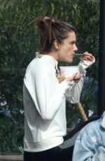 ALESSANDRA AMBROASIO at Sunlife Organics in Malibu 01/20/2019